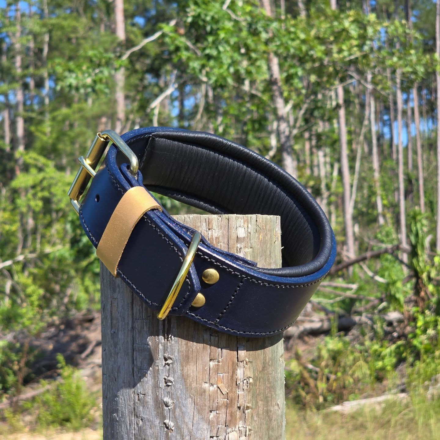 Criterion Padded Agitation Collar