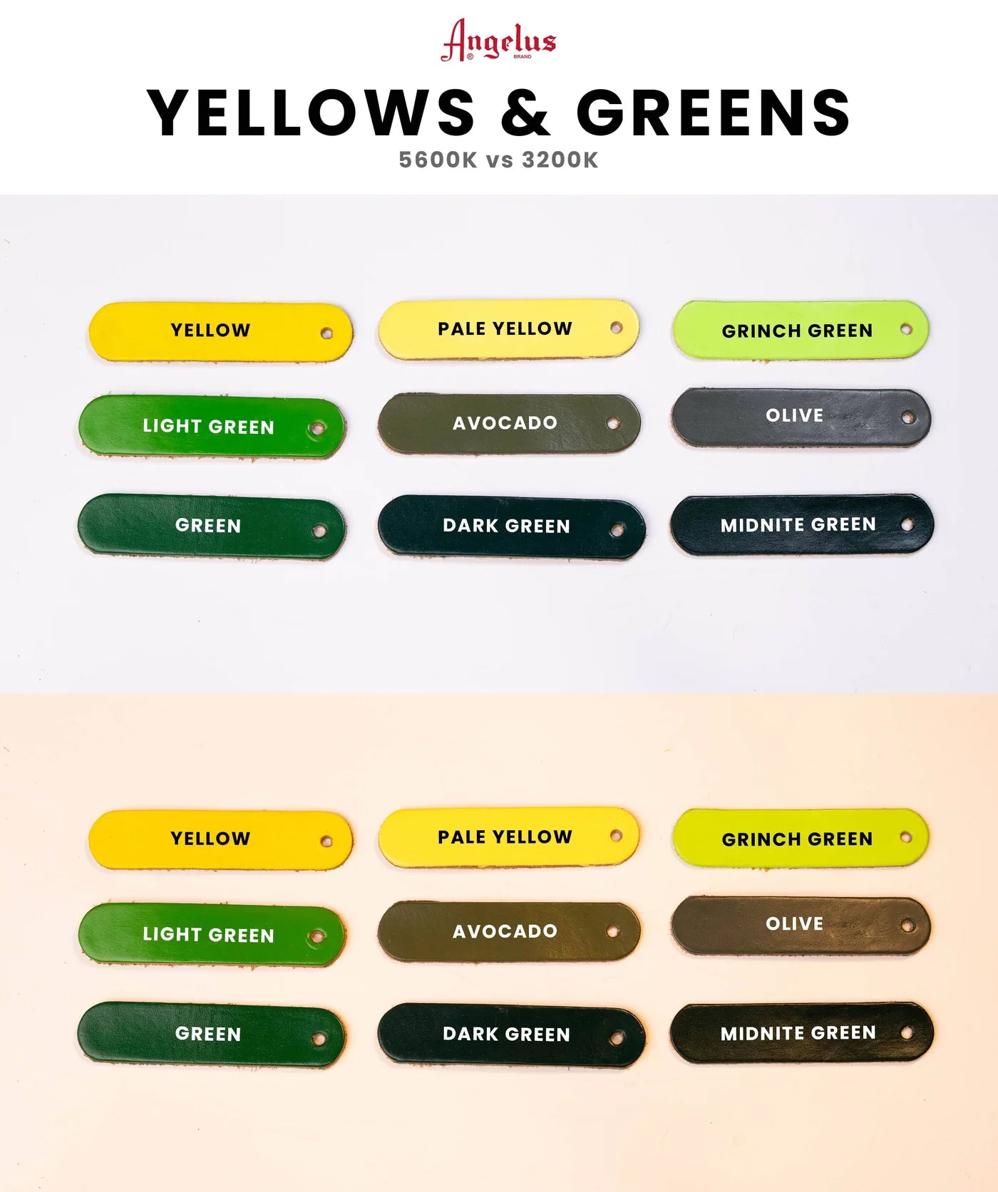 Juggernaut - 3 in Padded Agitation Collar