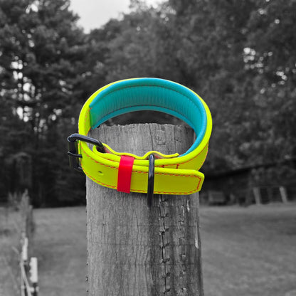 Puppy Criterion - Padded Agitation Collar
