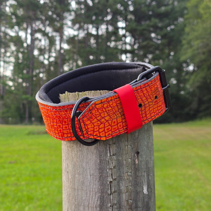 Puppy Criterion - Padded Agitation Collar