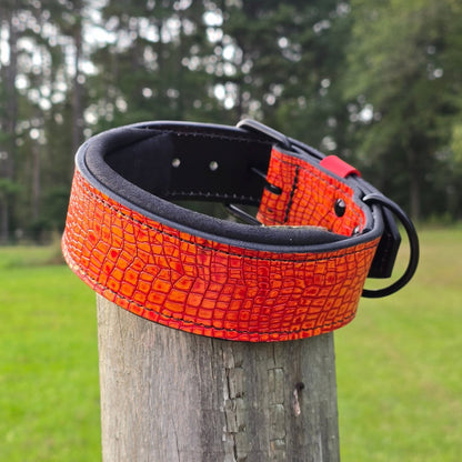 Puppy Criterion - Padded Agitation Collar