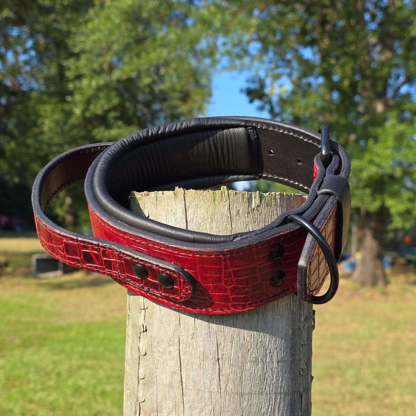 The Boss - Embossed Leather Padded Agitation Collar