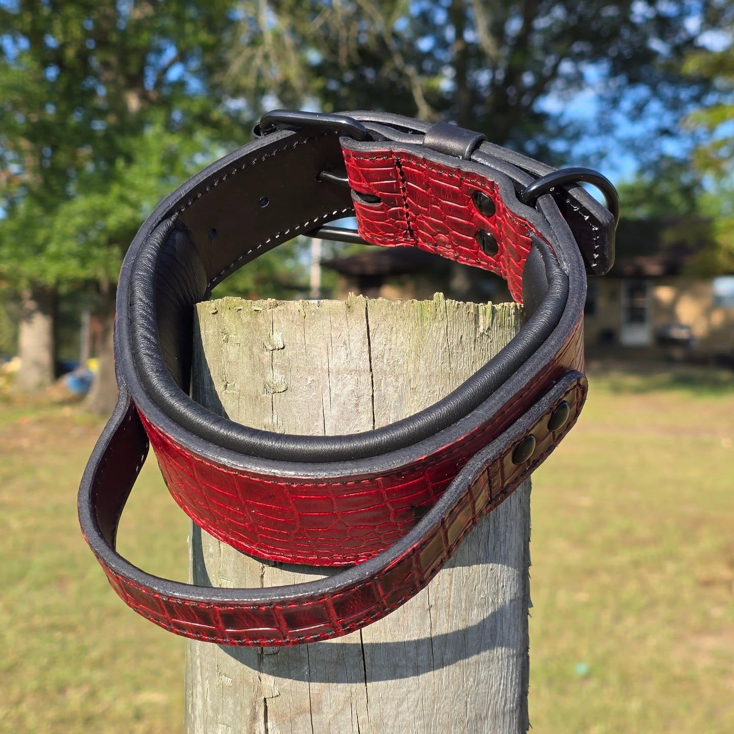 The Boss - Embossed Leather Padded Agitation Collar