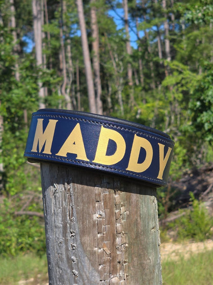 Criterion Padded Agitation Collar