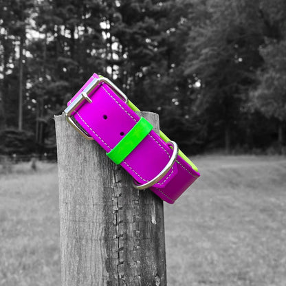 Criterion Padded Agitation Collar