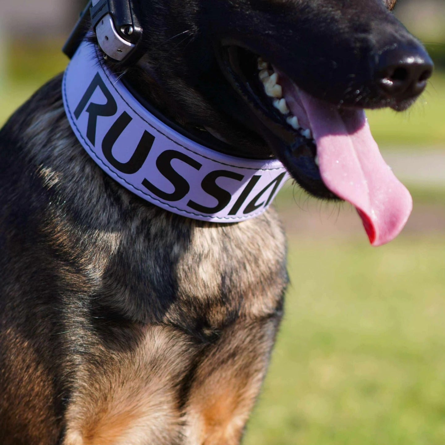 Criterion Padded Agitation Collar