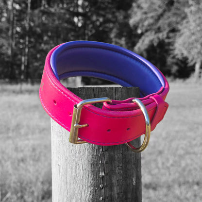 Criterion Padded Agitation Collar