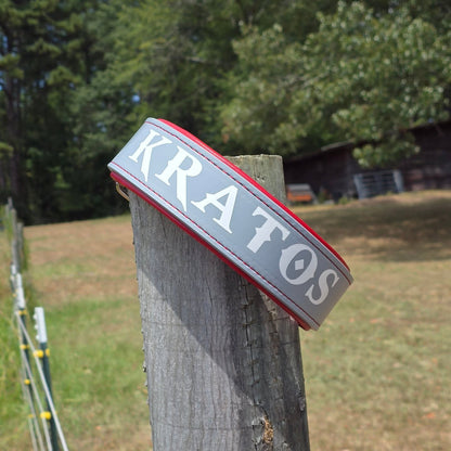 Criterion Padded Agitation Collar