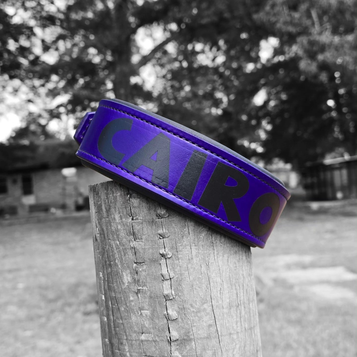 Criterion Padded Agitation Collar