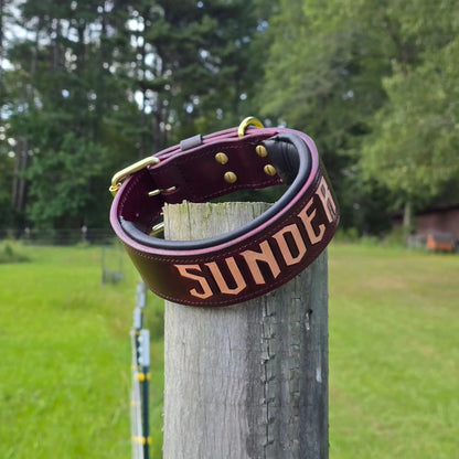 Criterion Padded Agitation Collar