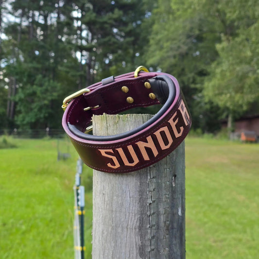 Criterion Padded Agitation Collar