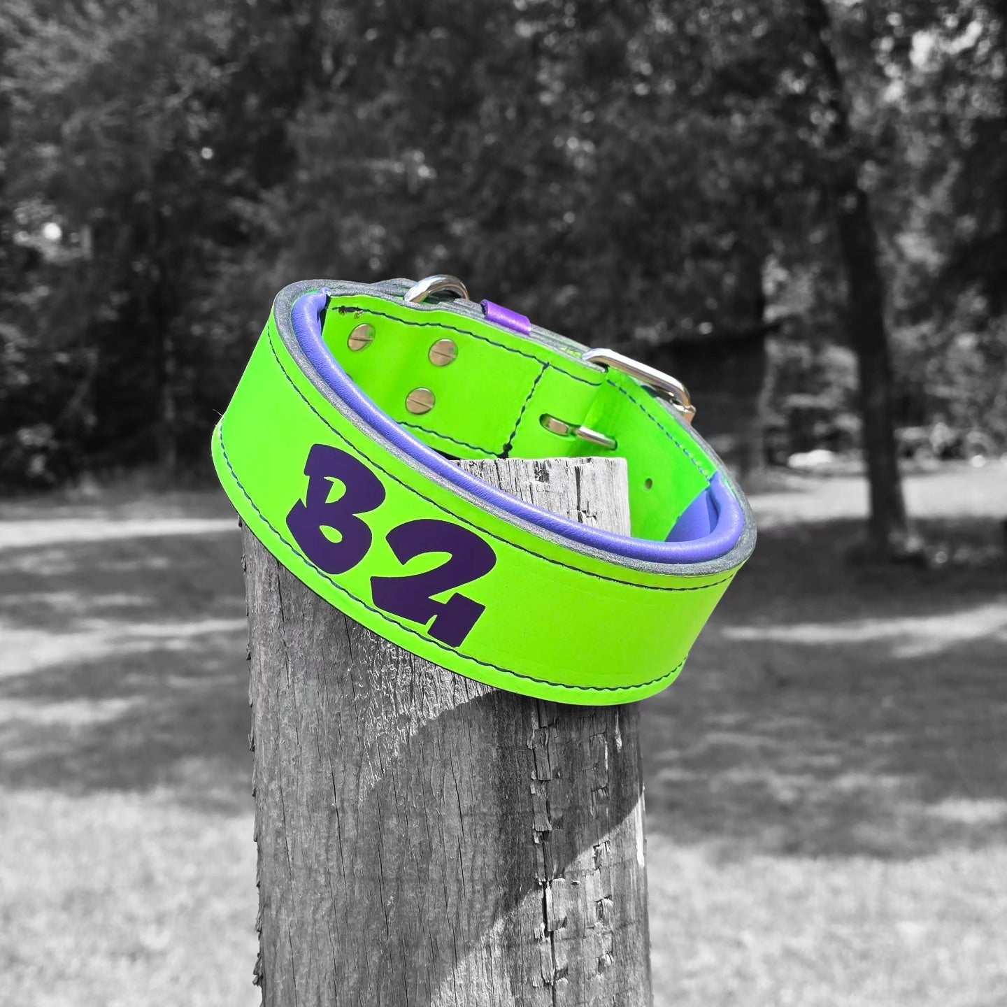 Criterion Padded Agitation Collar