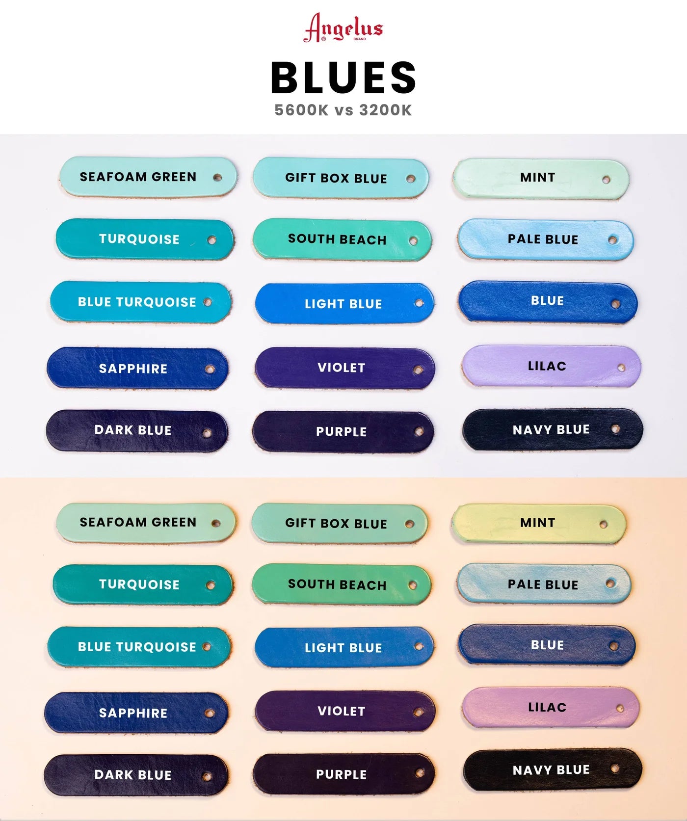 Criterion Padded Agitation Collar