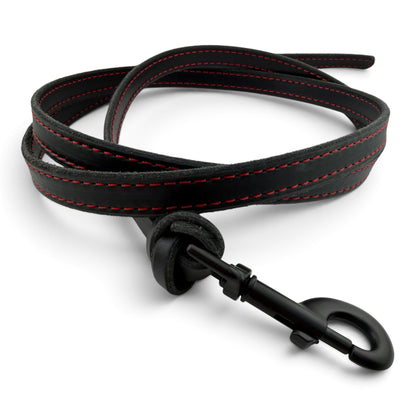 Knotted Leather Trial Leash with Stitching