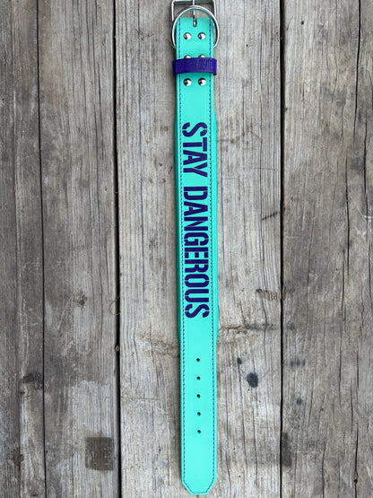 Stay Dangerous Agitation Collar