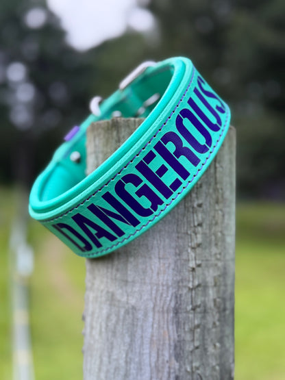 Stay Dangerous Agitation Collar