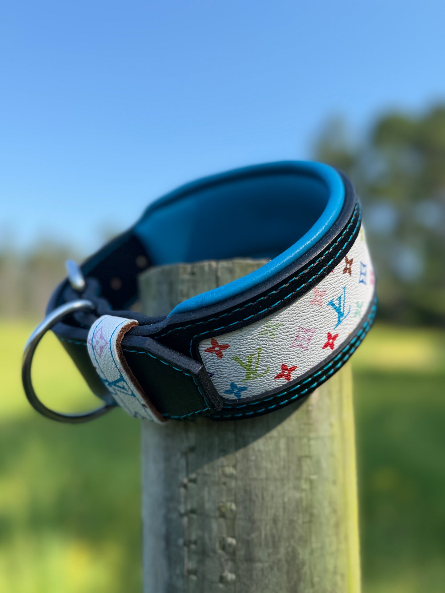 LV Inlay Agitation Collar - Multi Color LV