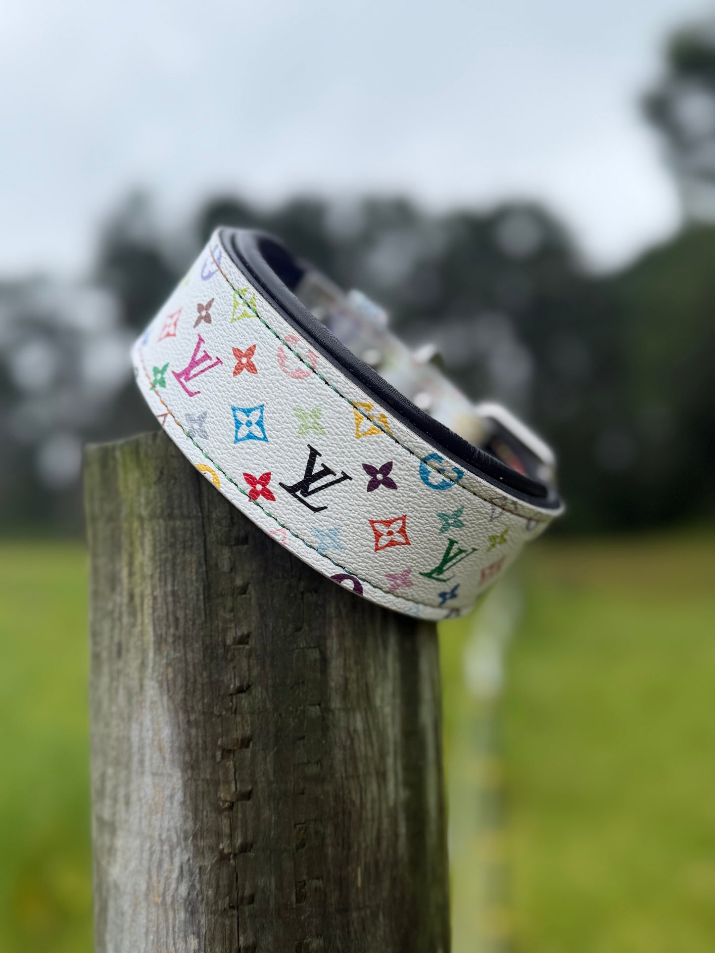 LV AGITATION COLLAR - MULTI COLOR