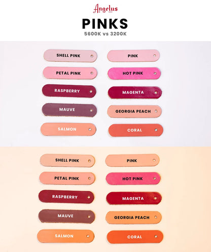 Criterion Padded Agitation Collar