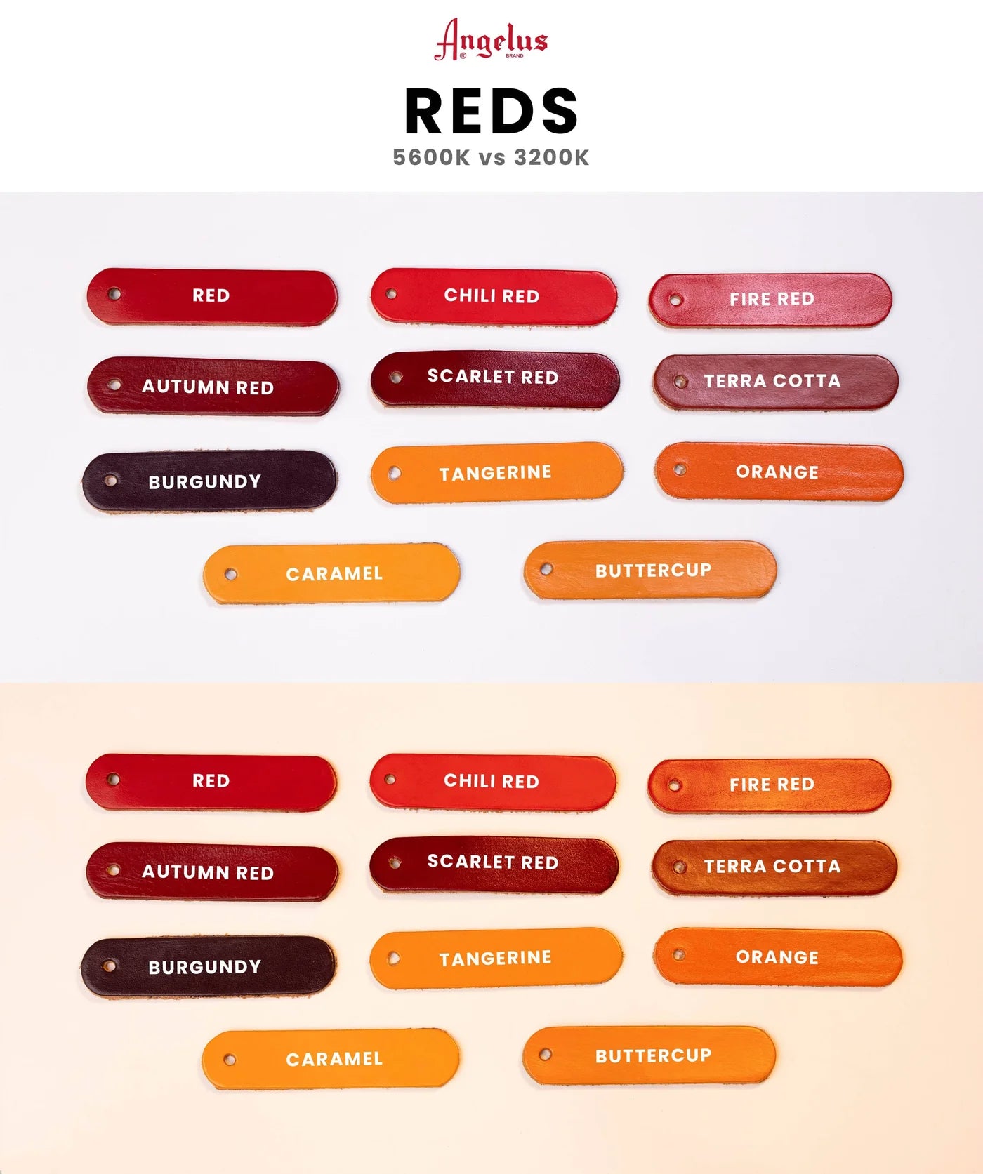 Criterion Padded Agitation Collar