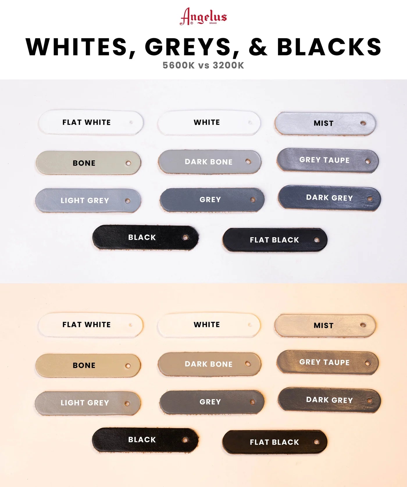 Criterion Padded Agitation Collar