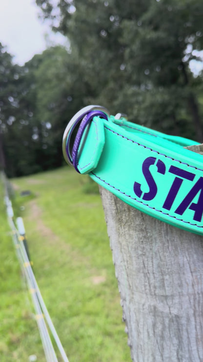 Stay Dangerous Agitation Collar