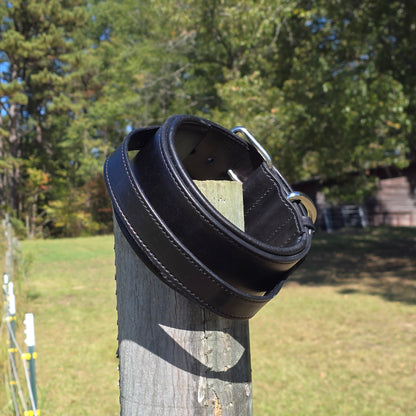 Juggernaut - 3 in Padded Agitation Collar